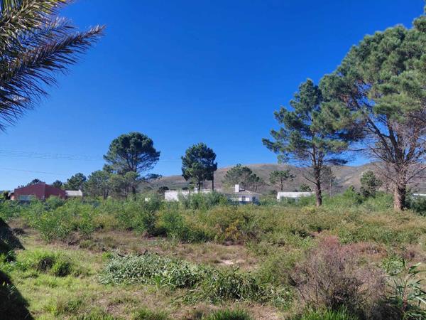 1 284 m² Land
