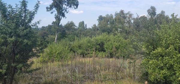 1 000 m² Land
