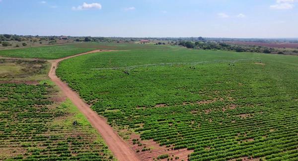 38 ha Farm