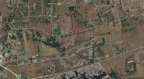 8.6 ha Smallholding