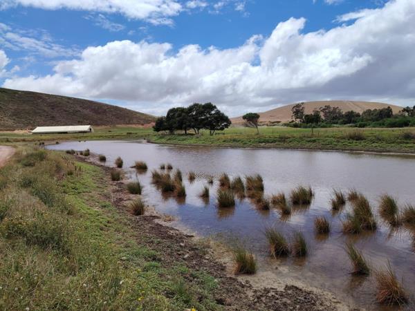250 ha Commercial Farm