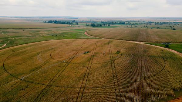 2 139 ha Farm