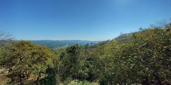 58 ha Commercial Farm