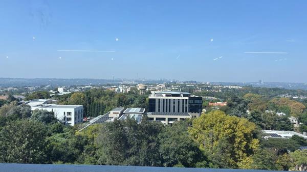 223 m² Office Space