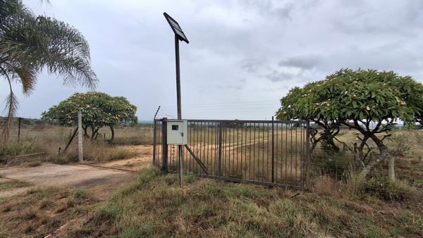 8.5 ha Smallholding