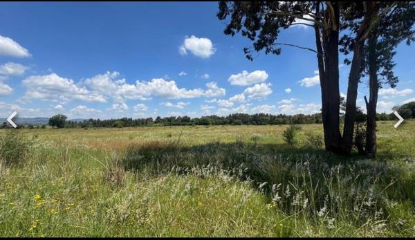 33.6 ha Land