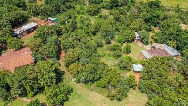 10.1 ha Farm