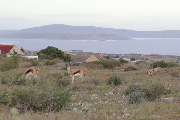 670 m² Land