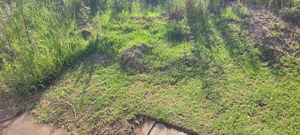 426 m² Land
