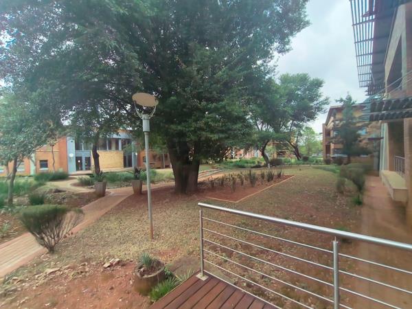48.5 m² Commercial space