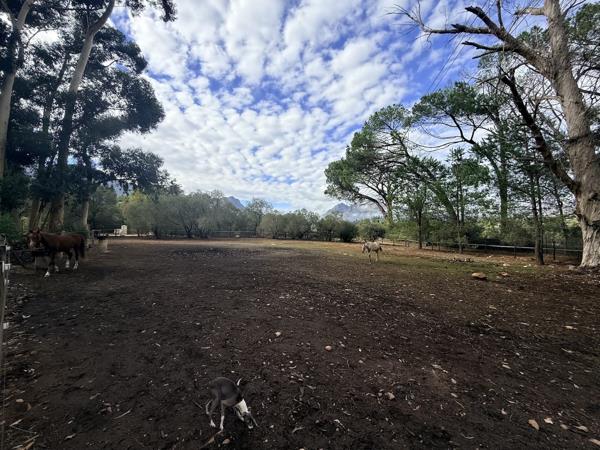 4 000 m² Agricultural Holding