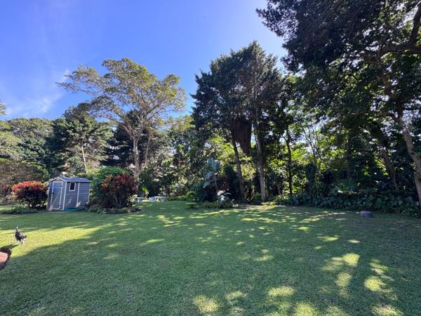 1 036 m² Land