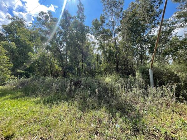 2.3 ha Land