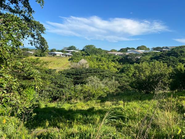 3 702 m² Land