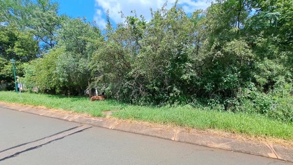 961 m² Land