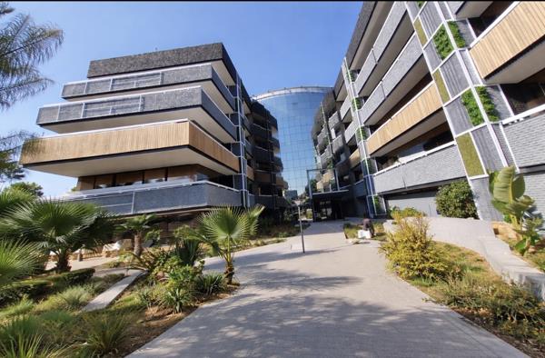 243 m² Commercial space