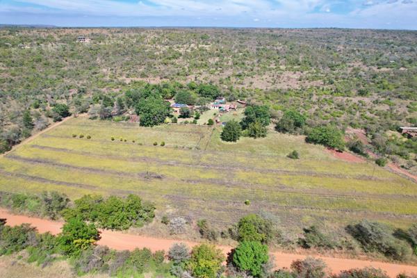 31.4 ha Smallholding