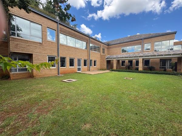 293 m² Office Space
