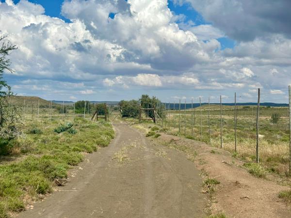 2 153.6 ha Farm