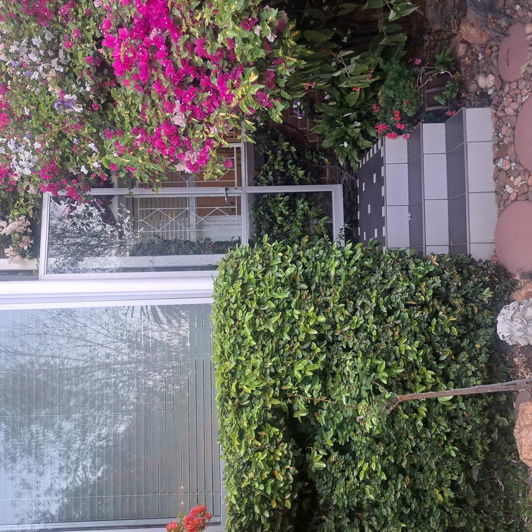 2 Bedroom Apartment in Illovo