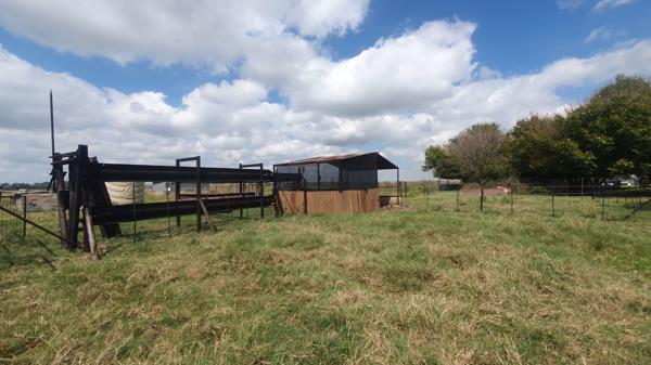 4.8 ha Smallholding