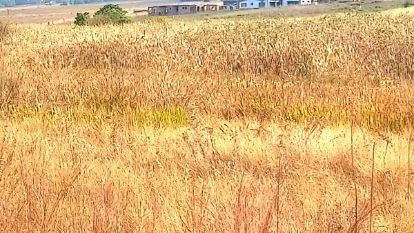 840 m² Land