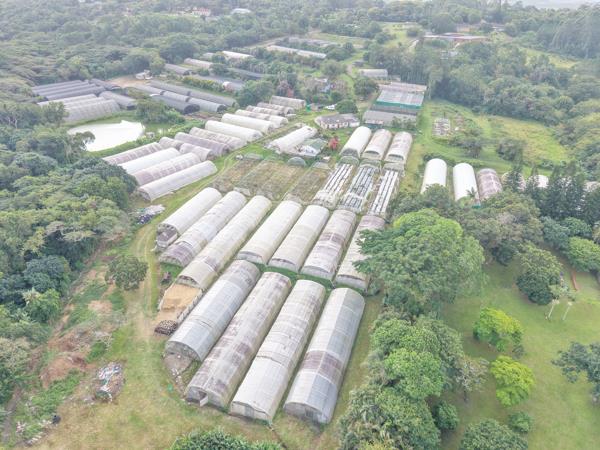 3.1 ha Smallholding