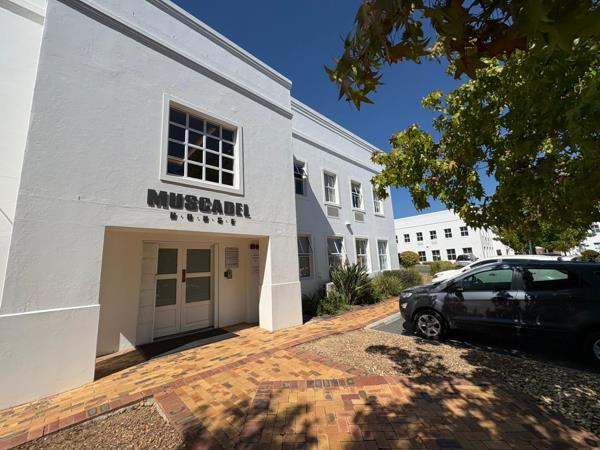 26.3 m² Commercial space