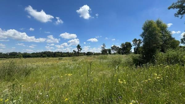 33.6 ha Land