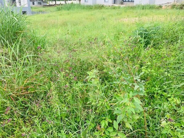 646 m² Land