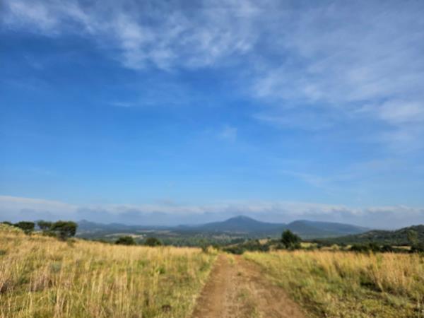 21 ha Smallholding