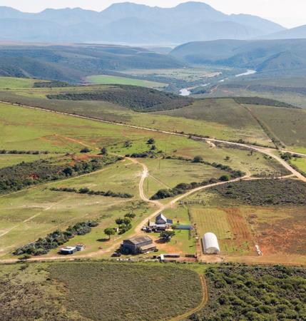 129 ha Farm with House