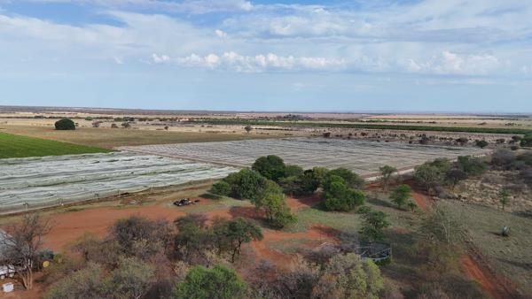 451.9 ha Agricultural Holding