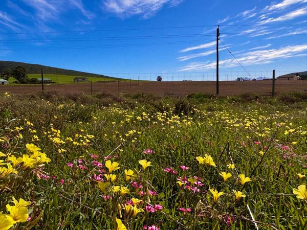 1 487 m² Land