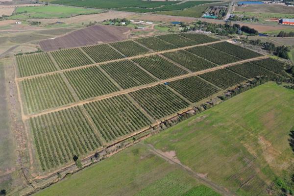74.7 ha Farm