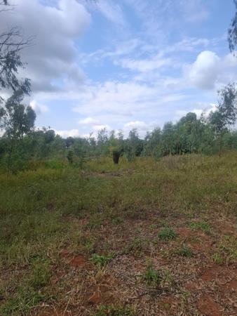 2 ha Land