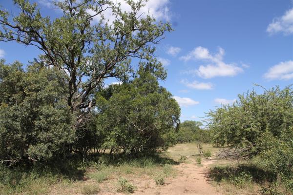 884 m² Land