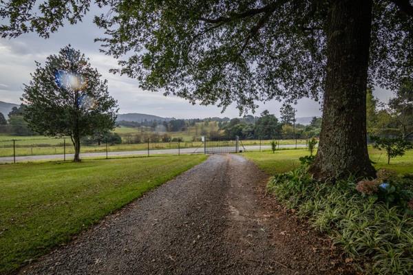 4 398 m² Smallholding