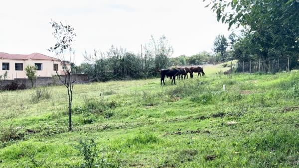 Smallholding