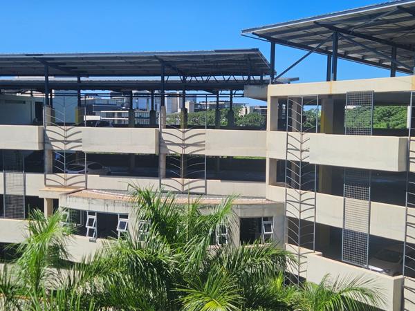 22 Bedroom Apartment