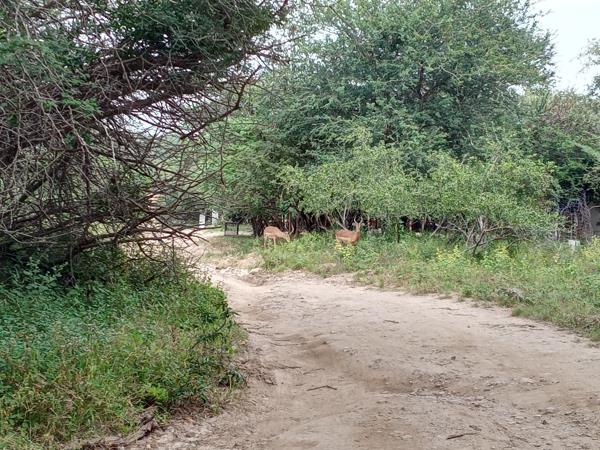2 052 m² Land