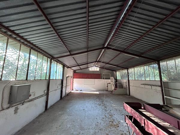 3 ha Farm with House