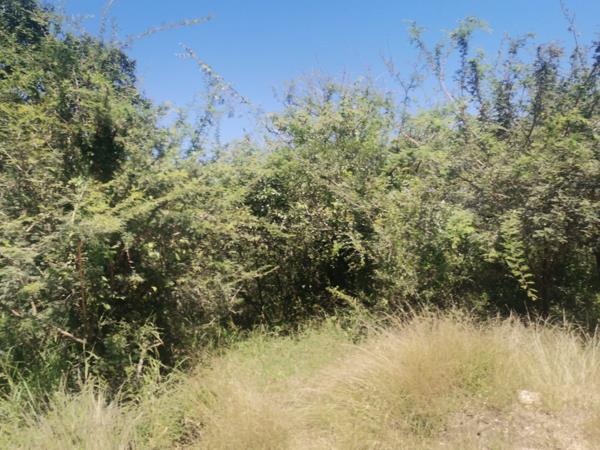 8 840 m² Land