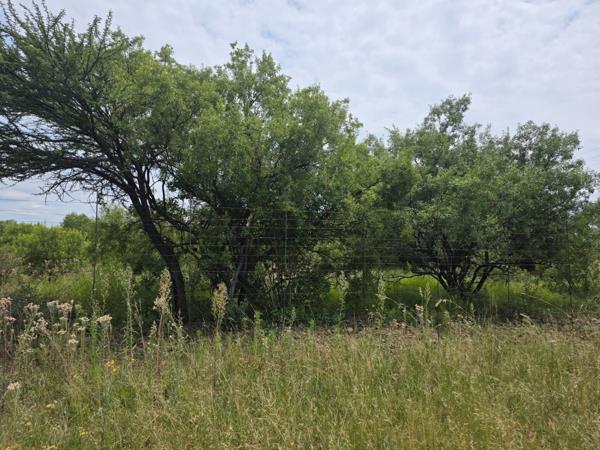 2 ha Smallholding