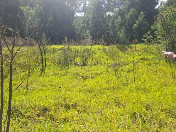 2 878 m² Land