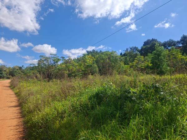 2 878 m² Land