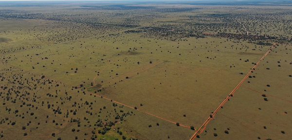 250 ha Farm with House