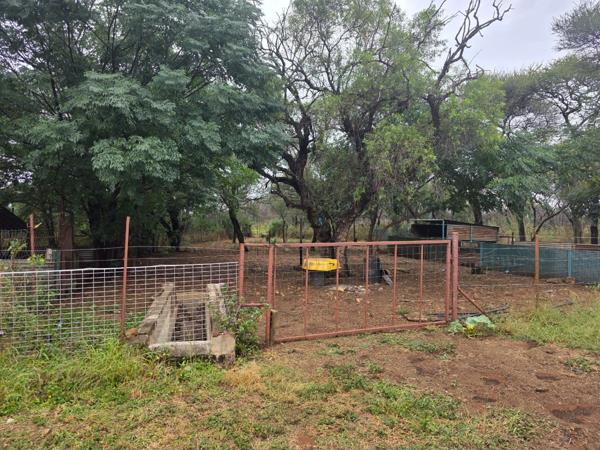 9.4 ha Smallholding