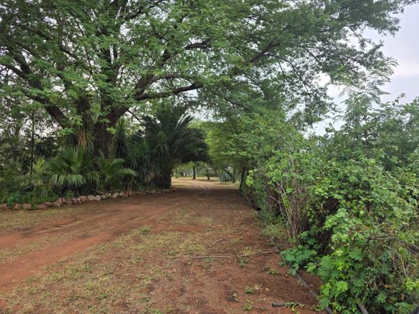 9.4 ha Smallholding