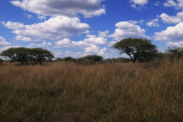 4 ha Land